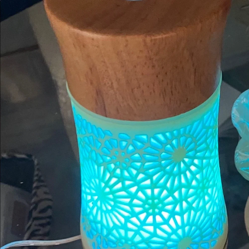 Artisan Ultrasonic Humidifier Aromatherapy Oil Diffuser